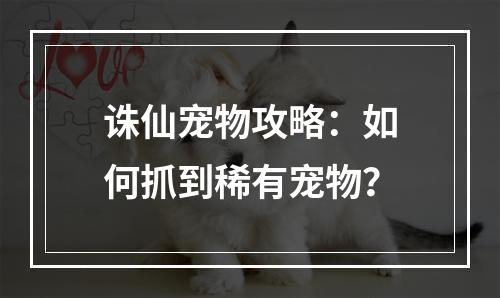 诛仙宠物攻略：如何抓到稀有宠物？