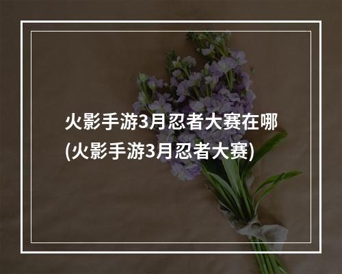 火影手游3月忍者大赛在哪(火影手游3月忍者大赛)