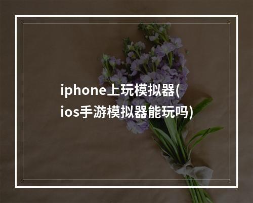 iphone上玩模拟器(ios手游模拟器能玩吗)