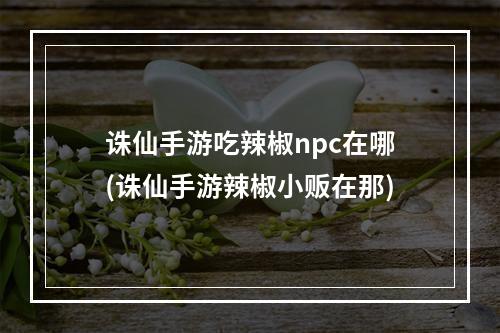 诛仙手游吃辣椒npc在哪(诛仙手游辣椒小贩在那)