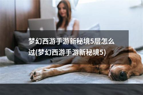 梦幻西游手游新秘境5层怎么过(梦幻西游手游新秘境5)