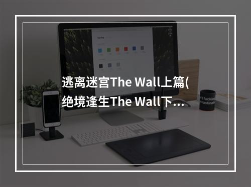 逃离迷宫The Wall上篇(绝境逢生The Wall下篇)