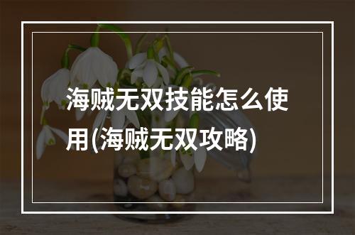 海贼无双技能怎么使用(海贼无双攻略)