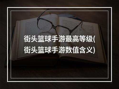 街头篮球手游最高等级(街头篮球手游数值含义)