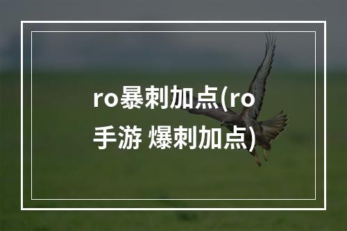 ro暴刺加点(ro手游 爆刺加点)