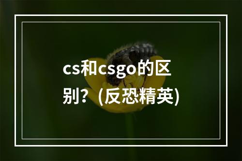 cs和csgo的区别？(反恐精英)