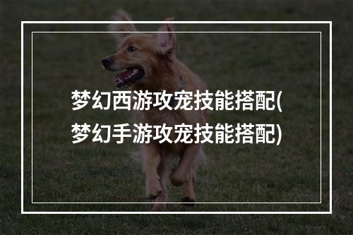 梦幻西游攻宠技能搭配(梦幻手游攻宠技能搭配)