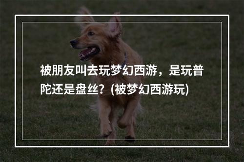 被朋友叫去玩梦幻西游，是玩普陀还是盘丝？(被梦幻西游玩)