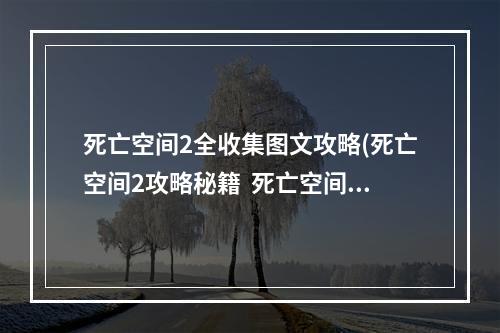 死亡空间2全收集图文攻略(死亡空间2攻略秘籍  死亡空间2全攻略  死亡空间2攻略)