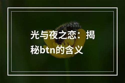 光与夜之恋：揭秘btn的含义