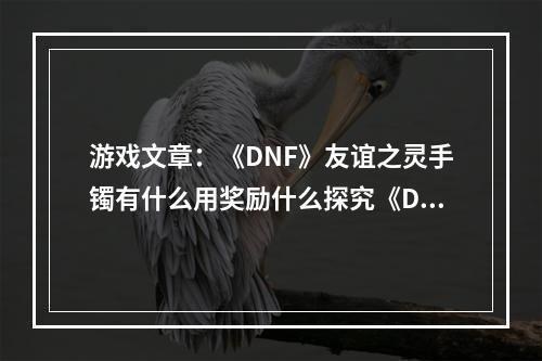 游戏文章：《DNF》友谊之灵手镯有什么用奖励什么探究《DNF》友谊之灵手镯的作用与奖励