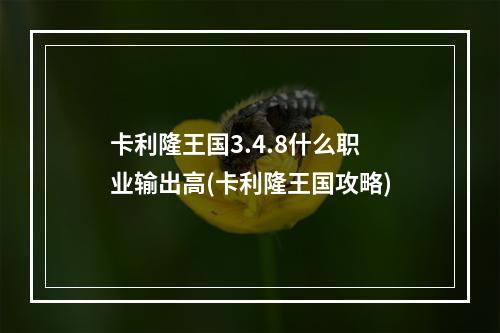 卡利隆王国3.4.8什么职业输出高(卡利隆王国攻略)