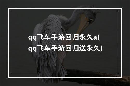 qq飞车手游回归永久a(qq飞车手游回归送永久)