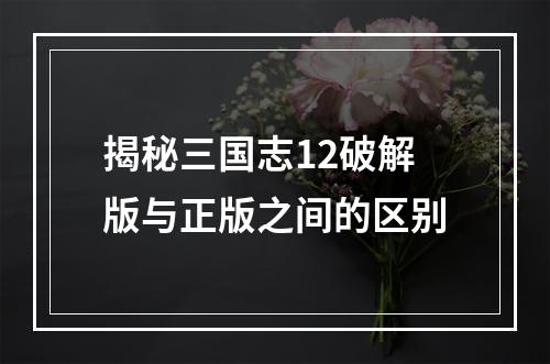 揭秘三国志12破解版与正版之间的区别