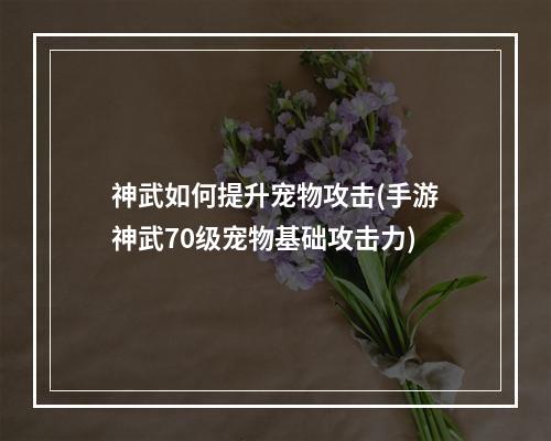 神武如何提升宠物攻击(手游神武70级宠物基础攻击力)