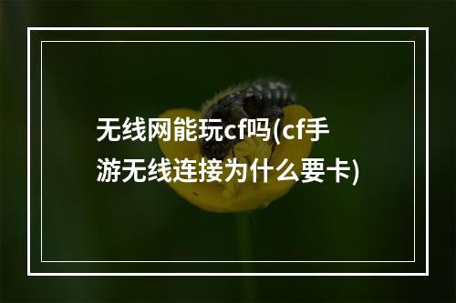 无线网能玩cf吗(cf手游无线连接为什么要卡)