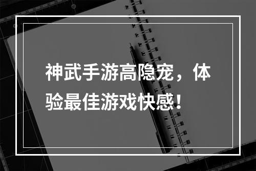 神武手游高隐宠，体验最佳游戏快感！