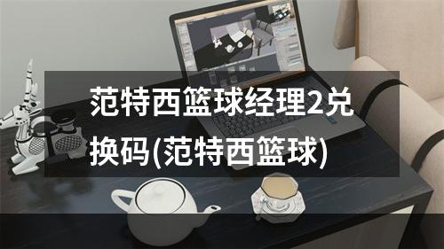 范特西篮球经理2兑换码(范特西篮球)