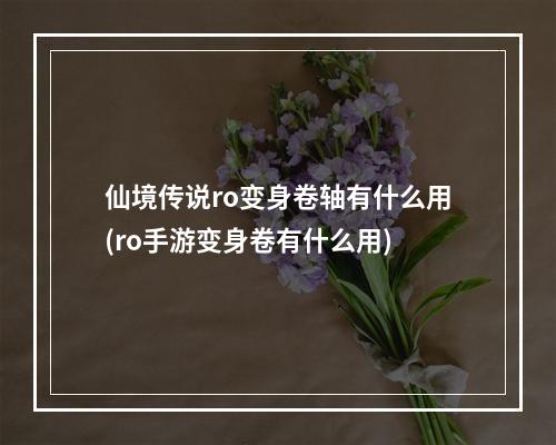 仙境传说ro变身卷轴有什么用(ro手游变身卷有什么用)