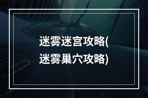 迷雾迷宫攻略(迷雾巢穴攻略)