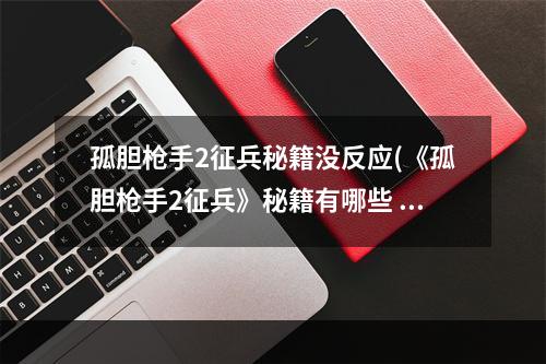 孤胆枪手2征兵秘籍没反应(《孤胆枪手2征兵》秘籍有哪些 秘籍大全 )