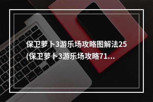 保卫萝卜3游乐场攻略图解法25(保卫萝卜3游乐场攻略71)