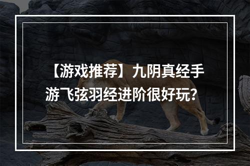 【游戏推荐】九阴真经手游飞弦羽经进阶很好玩？