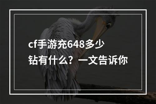 cf手游充648多少钻有什么？一文告诉你