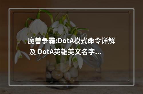 魔兽争霸:DotA模式命令详解 及 DotA英雄英文名字和简称DotA