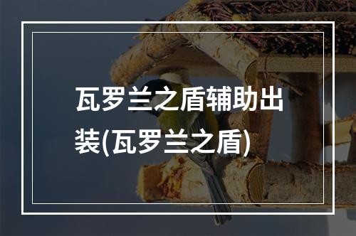 瓦罗兰之盾辅助出装(瓦罗兰之盾)