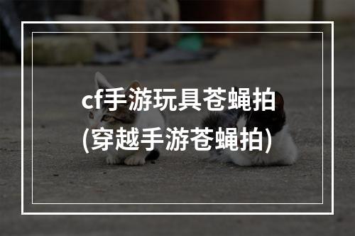 cf手游玩具苍蝇拍(穿越手游苍蝇拍)