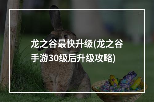 龙之谷最快升级(龙之谷手游30级后升级攻略)