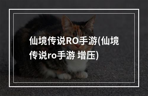 仙境传说RO手游(仙境传说ro手游 增压)