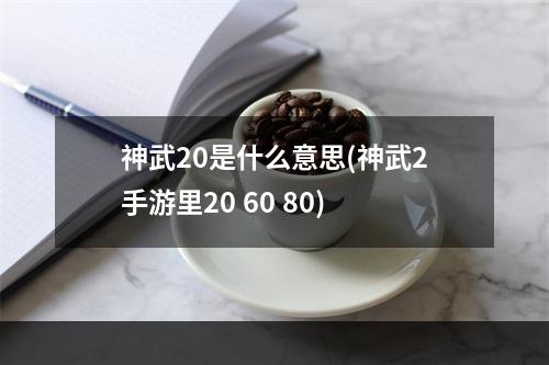 神武20是什么意思(神武2手游里20 60 80)