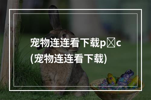 宠物连连看下载p c(宠物连连看下载)