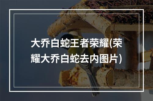 大乔白蛇王者荣耀(荣耀大乔白蛇去内图片)