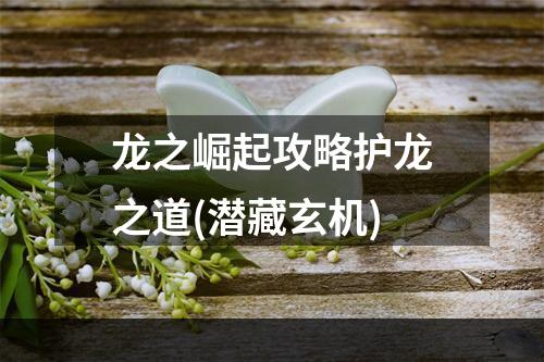 龙之崛起攻略护龙之道(潜藏玄机)