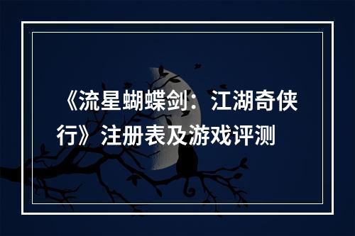 《流星蝴蝶剑：江湖奇侠行》注册表及游戏评测