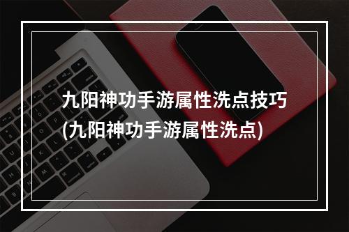 九阳神功手游属性洗点技巧(九阳神功手游属性洗点)