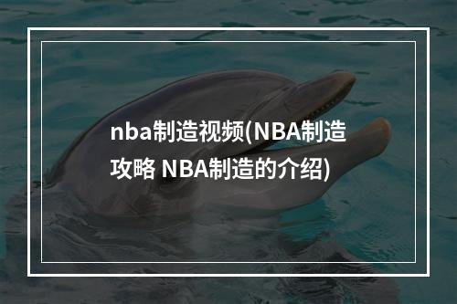 nba制造视频(NBA制造攻略 NBA制造的介绍)