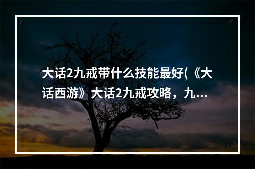 大话2九戒带什么技能最好(《大话西游》大话2九戒攻略，九戒技能 九戒西方净土)