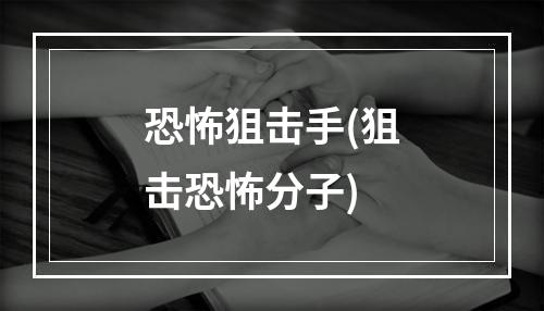 恐怖狙击手(狙击恐怖分子)