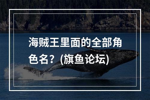 海贼王里面的全部角色名？(旗鱼论坛)