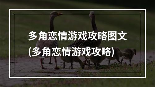 多角恋情游戏攻略图文(多角恋情游戏攻略)