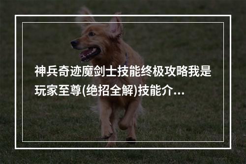 神兵奇迹魔剑士技能终极攻略我是玩家至尊(绝招全解)技能介绍与技巧