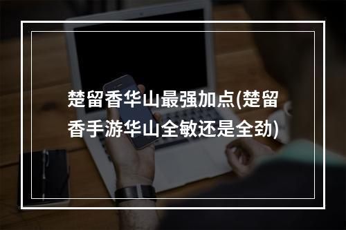 楚留香华山最强加点(楚留香手游华山全敏还是全劲)