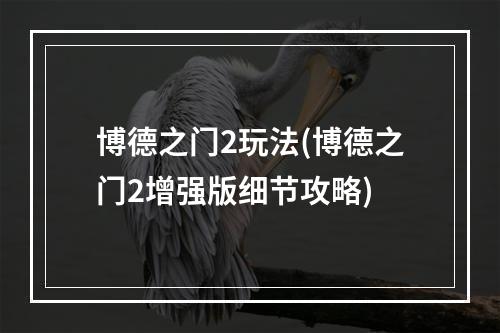 博德之门2玩法(博德之门2增强版细节攻略)