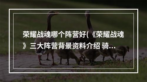 荣耀战魂哪个阵营好(《荣耀战魂》三大阵营背景资料介绍 骑士)