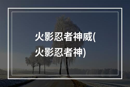 火影忍者神威(火影忍者神)