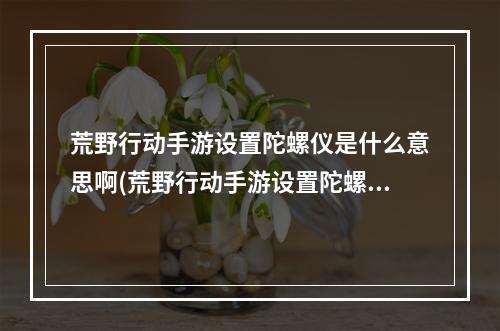 荒野行动手游设置陀螺仪是什么意思啊(荒野行动手游设置陀螺仪是什么意思)